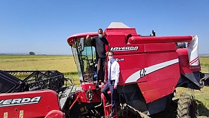 Biga'da yılın ilk çeltik hasadı Vali Aktaş’ın katılımıyla gerçekleştirildi