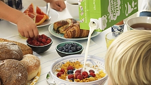 Uzmanlar güvenli süt tüketimine dikkat çekiyor