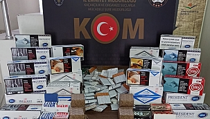 Gelibolu'da Tütün operasyonu