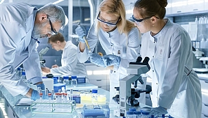 Hangi kısırlık tedavisi size uygun?