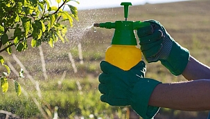 Üretim zehirden arındırılacak