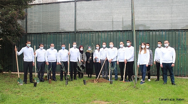15 bin zeytin fidanı toprakla buluştu