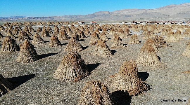 200 nüfuslu köy 5 ayda 1 milyon dolarlık ihracat yapıyor