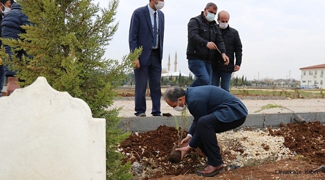 2020 Yılında vefat edenler adına ağaç dikiliyor