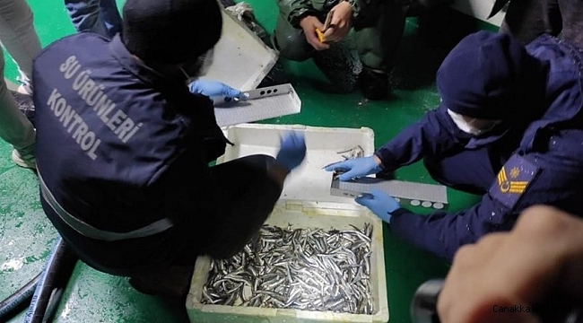 35 ton kaçak hamsi yakalandı, gemilere para cezası uygulandı