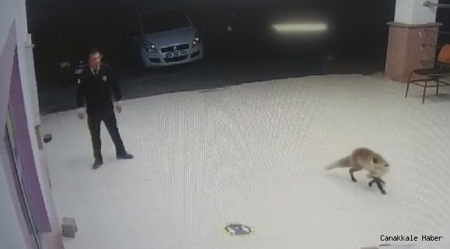 &#039;Besle tilkiyi, çalsın anahtarını&#039;