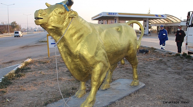 'Charging Bull'a Amasya'dan yeni rakip