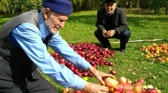 &#039;Posof&#039;lu Eller Yöresel Ürünler Projesi&#039; tanıtıldı
