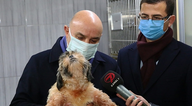 68 adet cins köpek Keçiören Belediyesi'nin korumasına alındı