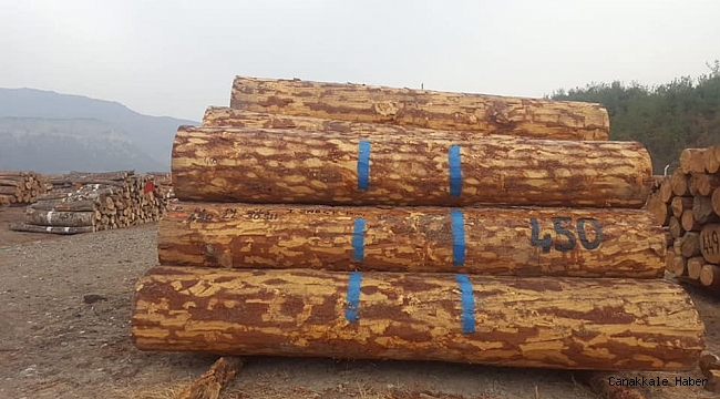 7 bin 213 metreküp orman emvali 3 milyon 341 bin 462 TL'ye satıldı