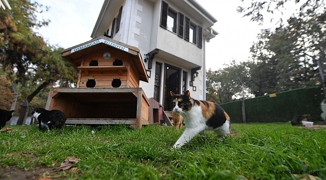 8 bin 451 can dostu sağlığına kavuştu