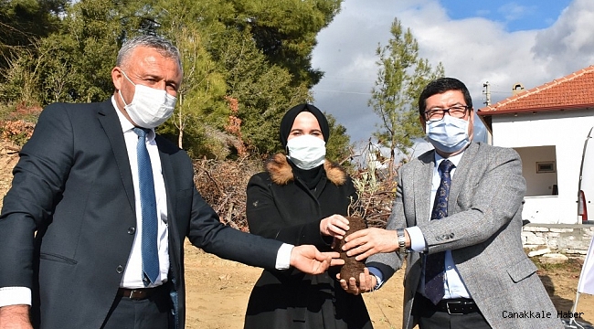 80 bin lavanta toprakla buluştu