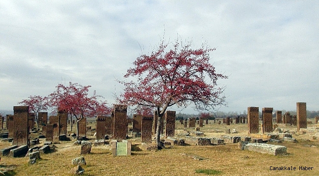 Açık hava müzesi Ahlat&#039;ın tarihi mekanları kısıtlamayla sessizliğe büründü