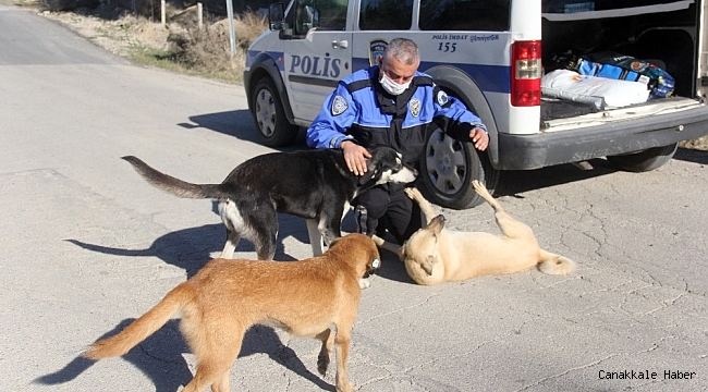 Adana polisi sokak köpeklerini unutmadı