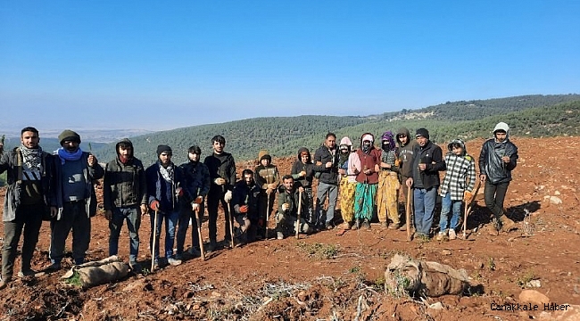 Afyonkarahisar'ın dağları Diyarbakırlı işçilerin emekleri ile yeşillenecek
