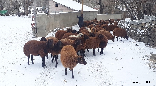 Ağrılılar güne karla uyandı