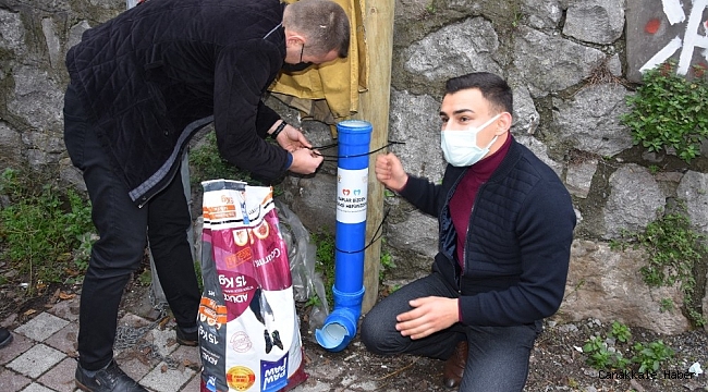 AK Parti'den sokak hayvanları için örnek proje