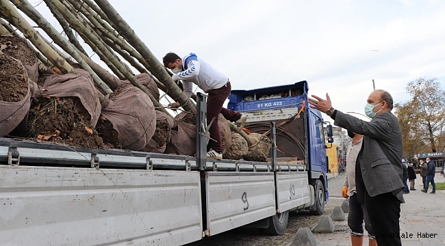 Akçakoca Belediyesi daha yeşil bir ilçe için çalışıyor