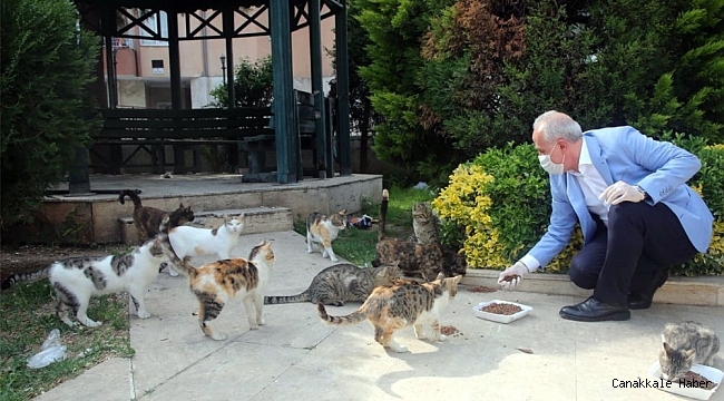 Akdeniz&#039;deki parklara sokak hayvanları için uyarıcı levhalar dikildi