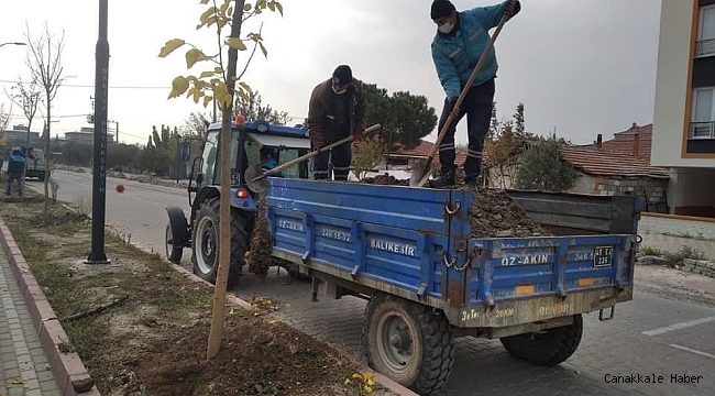 Akhisar Ring Yolu ağaçlandırılıyor