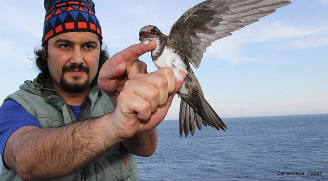 Akkarınlı Ebabil&#039;den 58 saatte 3 bin kilometrelik rekor uçuş