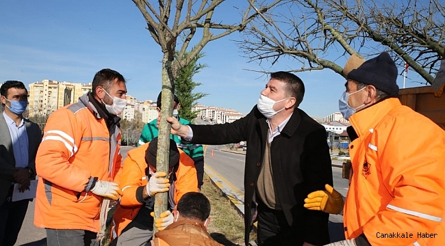 Aksaray Belediyesi fidan dikim seferberliği başlattı