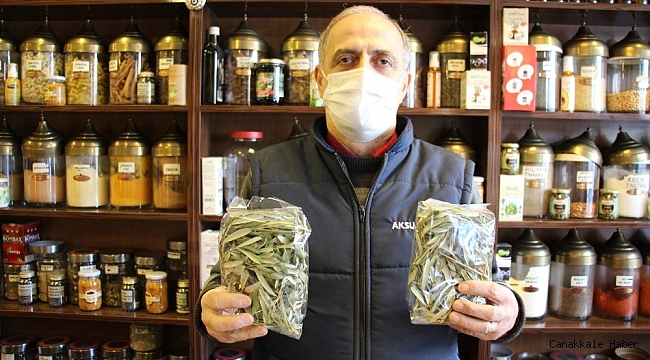 Aktarlarda zeytin yaprağı yok satıyor