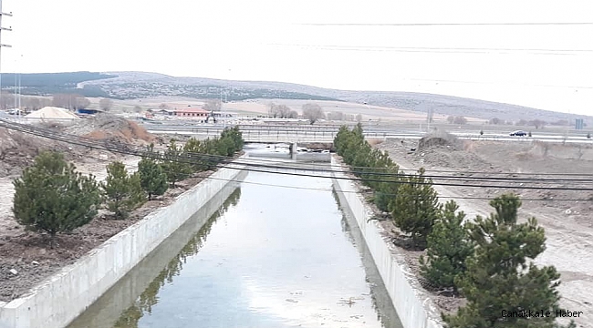 Altıntaş Avşar deresi ağaçlandırma çalışmaları