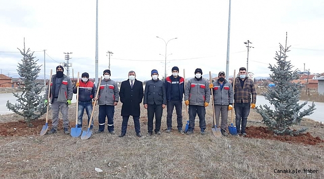 Altıntaş&#039;ta çevre yolu ağaçlandırma çalışmaları