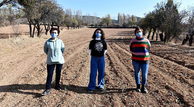 Ankara Büyükşehir Belediyesi boş arazileri tarıma kazandırıyor