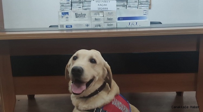 Antakya&#039;da 950 paket kaçak sigara ele geçirildi