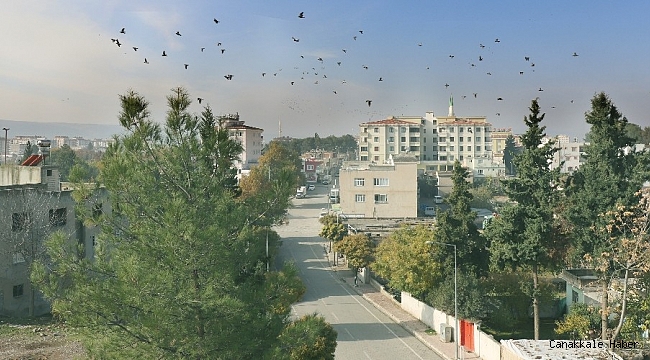 Araban sokakları boş kaldı