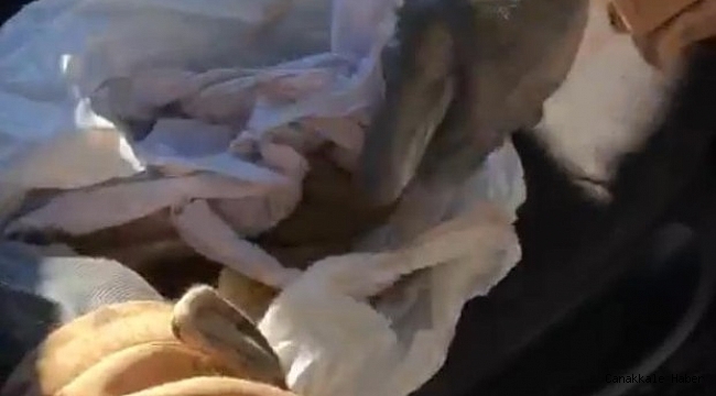 Aracına uyuşturucu zulalayan şüpheli yakalandı