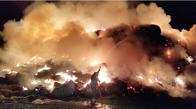 Arazide samanlar alev alev yandı