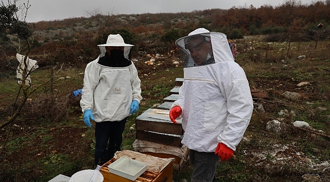 Arı kolonisinde &quot;varroa&quot; hastalığı tespit edilen üreticinin arıları kurtarıldı