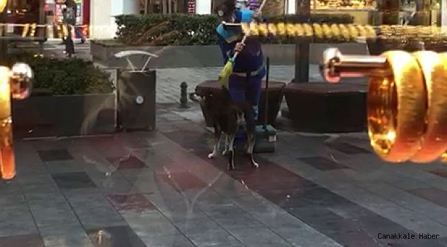 Arnavutköy&#039;de yürek ısıtan görüntü