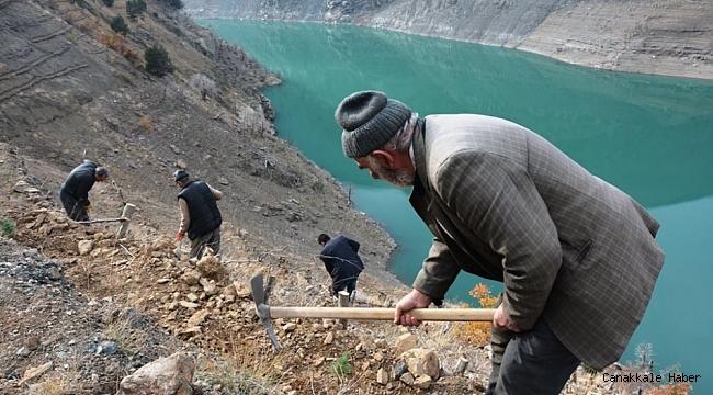 Artvin&#039;de baraj havzaları ağaçlandırılıyor