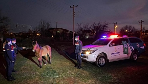 Ata eziyet eden şahıs gözaltında