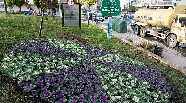 Atakum&#039;da parklara kış bakımı