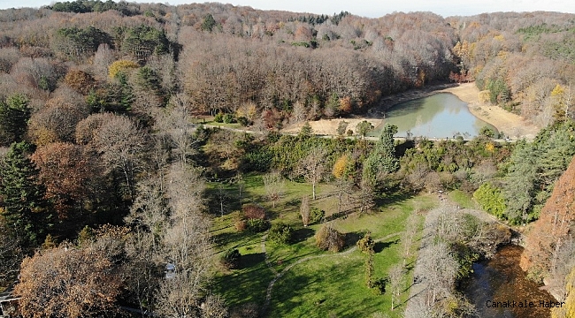 Atatürk Arboretumu'nda sonbahar manzarası