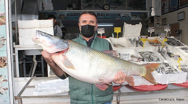 Atatürk Barajı&#039;nda dev turna balığı yakalandı
