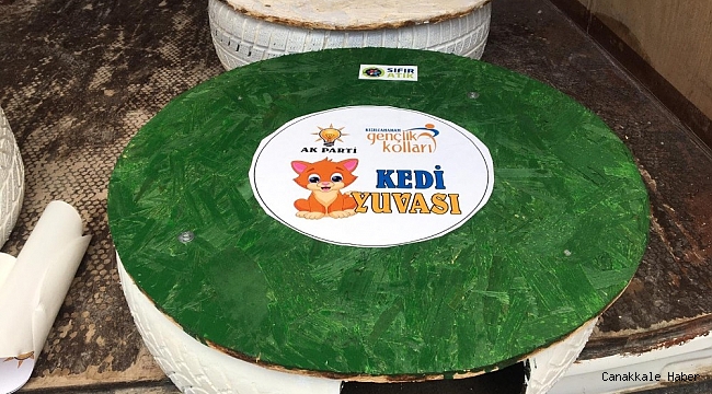 Atıklardan kedi yuvası