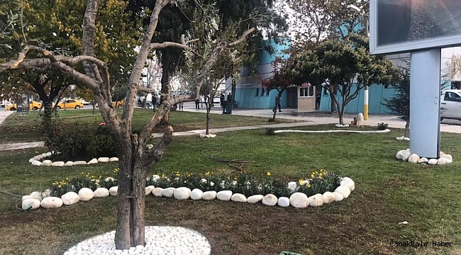 Atıl alan yeşil alana dönüştü