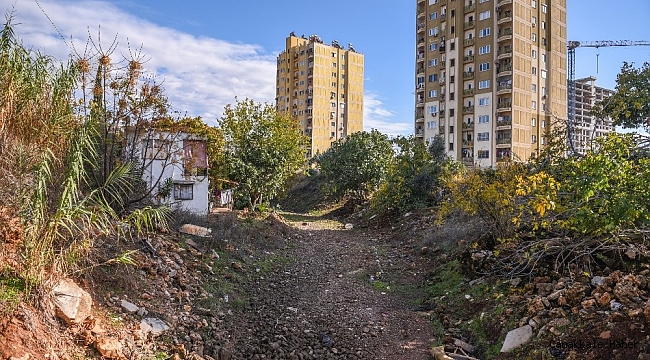 Ay Deresi yeşilleniyor