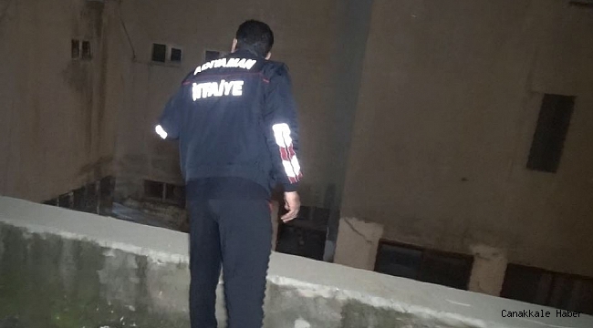 Ayağı kırık kedi tedavi altına alındı