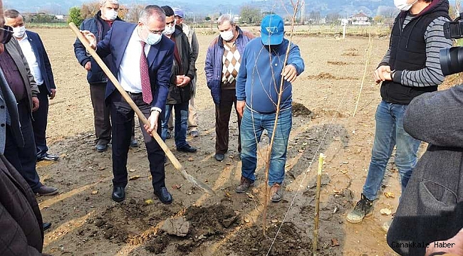 Aydın&#039;da 21 bin 700 adet erkenci kayısı fidanı dağıtıldı