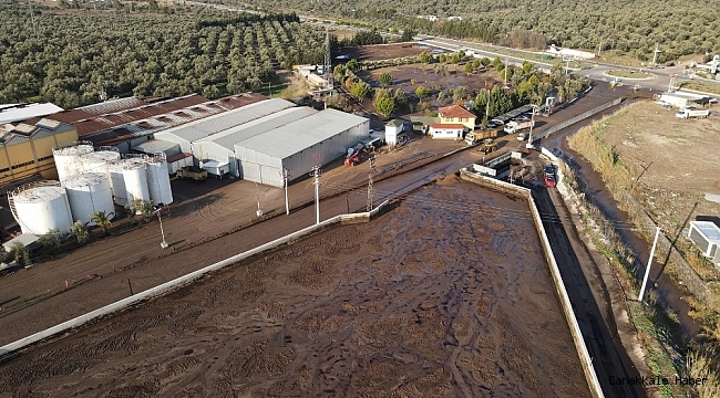 Ayvalık Belediyesi&#039;nden çevre felaketine suç duyurusu