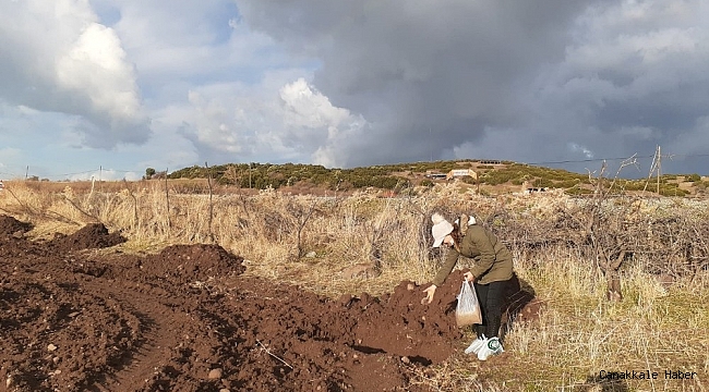 Ayvalık&#039;ta dört kurum &quot;Yeşil Adımlar&quot; için bir araya geldi
