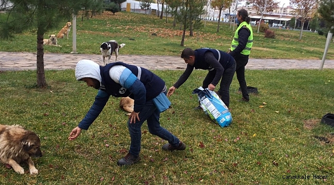 Bağlar Belediyesi sokak hayvanlarını unutmadı