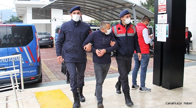 Bahçelerden iki ayda 260 bin TL değerinde avokado çaldı, son işinde yakalandı